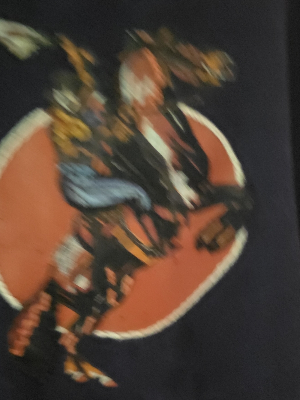 Double D Ranch Rodeo Sweetheart Jacket - Picture 3 of 10